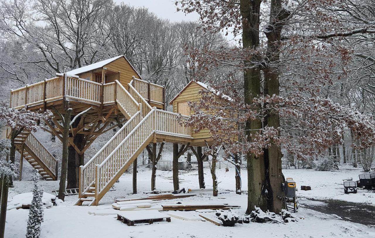 Oakside Tree Tops Canterbury Exterior photo